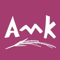 AMK Microfinance Institution Plc. email format