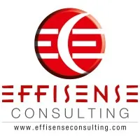 EffisenseConsulting