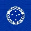Cruzeiro Esporte Clube - SAF Cruzeiro Esporte Clube - SAF