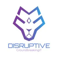 Disruptive Information Technologies