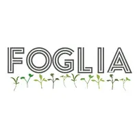 Foglia