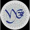 VYOM: Cultural Society of VSE