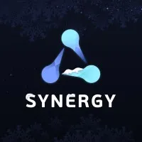 SYNERGY PARTNERS PLATFORM