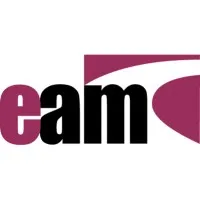 Estrin Asset Management Inc