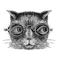 Thunder Chipping Norton, United Kingdom