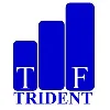 TRIDENT FABRICATORS PRIVATE LIMITED