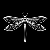 IMAGO GROUP Luxury Packaging