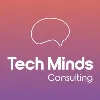 TechMinds Consulting