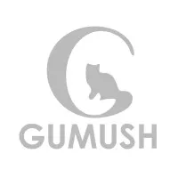 GUMUSH AeroSpace