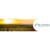 ML Partners Pty Ltd