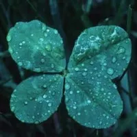 Cloverdale Senior Multipurpose Center Cloverdale Senior Multipurpose Center