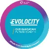 EVolocity Charitable Trust EVolocity Charitable Trust