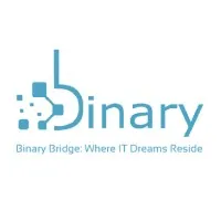 Binary Bridge IT Solutions