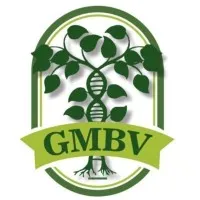 GMBV GMBV