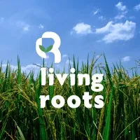 Living Roots