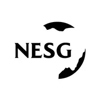 Nigerian Economic Summit Group (NESG) email format