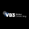 VB3 Global Consulting