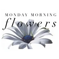 Monday Morning Flower and Balloon Co.