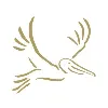 Brown Pelican WiFi Brown Pelican WiFi