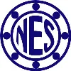 NES Bearing - Napoleon Engineering Services NES Bearing - Napoleon Engineering Services