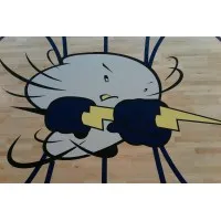 Harbor Science And Arts Charter School Harbor Science And Arts Charter School