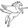 Pegasus InfoCorp Pegasus InfoCorp
