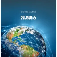 Delmer Group Delmer Group