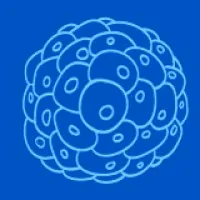 Cells MDPI Cells MDPI