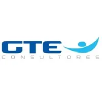 GTE CONSULTORES