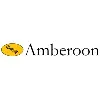 Amberoon Inc.