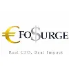 CFOSurge CFOSurge