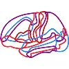 Brainsights Brainsights