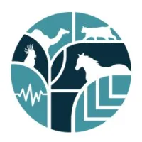 Rahmah for Animal Welfare