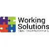 Working Solutions CDFI Working Solutions CDFI