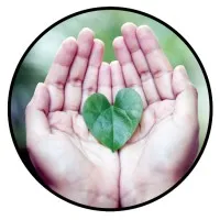 Rehab Pathways Group, Inc.