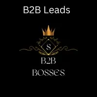 B2B Bosses Lead Generations And Data Entry