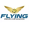 Escuela de Aviacion Flying