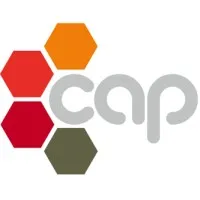 Capital Advisory Partners Pty Ltd