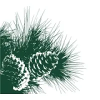 American Natural Resources LLC