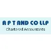 APT AND CO LLP APT AND CO LLP