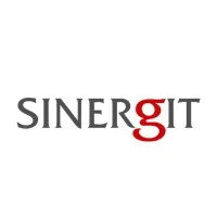 Sinergit