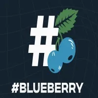Hashtag Blueberry