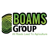 BOAMS Group
