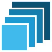 FSI Information Technology