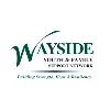 Wayside Youth & Family Support Network