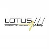 Lotus Global MKT Brasil Lotus Global MKT Brasil
