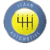 Icahn Automotive Icahn Automotive