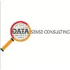 Datasense Consulting