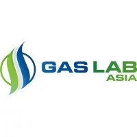 Ss Gas Lab Asia, Delhi Ss Gas Lab Asia, Delhi