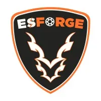ESFORGE Pvt. Ltd